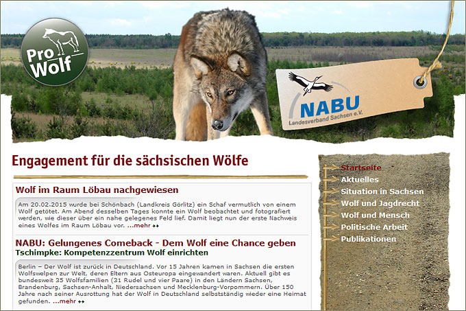 Engagement für die sächsischen Wölfe