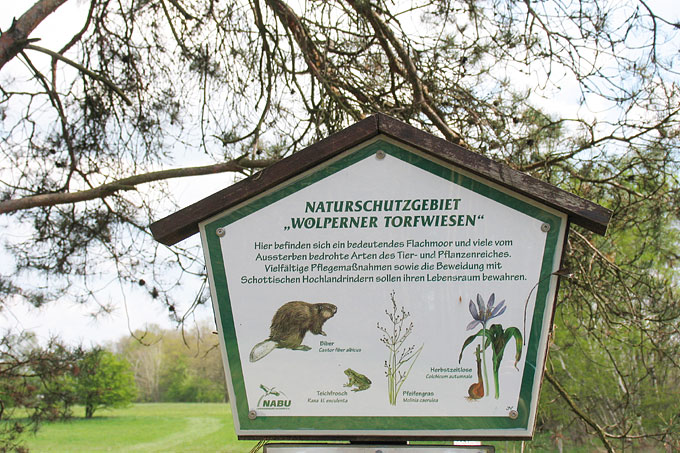 Schild zum Naturschutzgebiet „Wölperner Torfwiesen“ - Foto: Edith Köhler