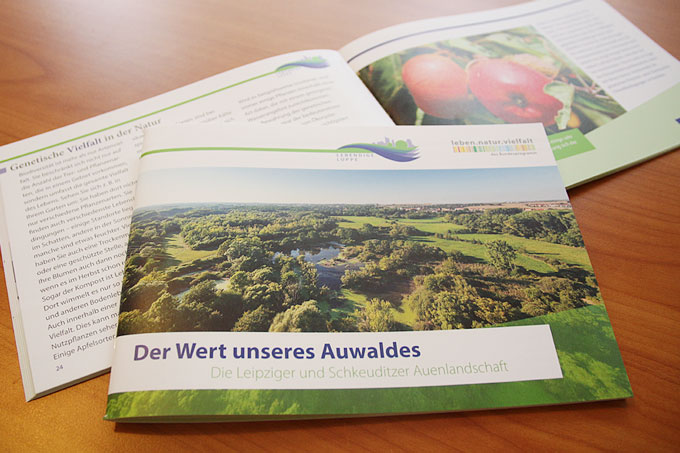 Broschüre „Der Wert unseres Auwaldes – Die Leipziger und Schkeuditzer Auenlandschaft“ - Foto: Maria Vitzthum