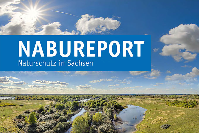NABU Report NABU Sachsen