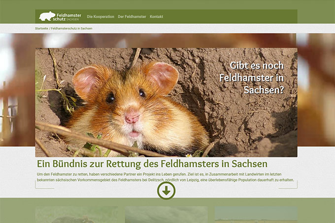 Website Feldhamster 2021 - Screenshot