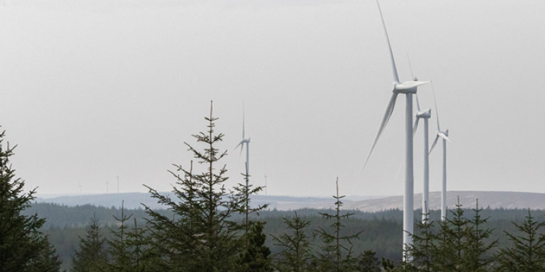Windkraft im Wald. – Foto: NABU/Marc Scharping