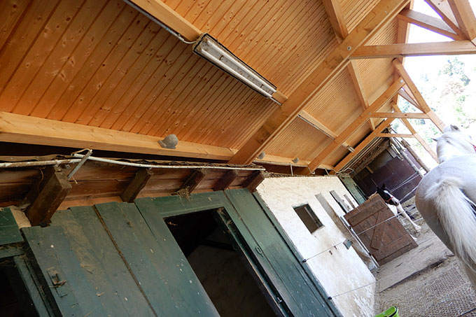 Kunstschwalbennester an der Holzüberdachung - Foto: Marion Lehnert