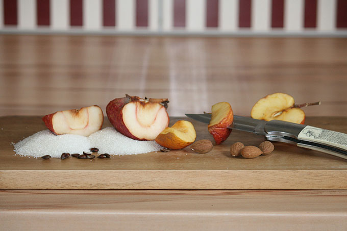 Äpfel, Zucker, Mandeln - Foto: Ina Ebert