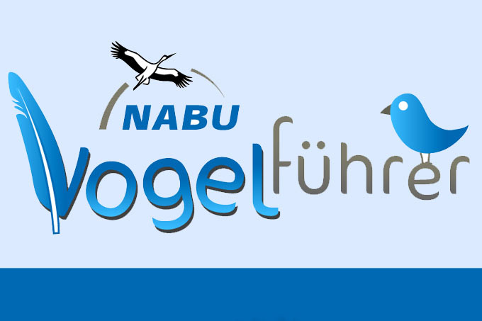 Icon NABU-Vogelführer