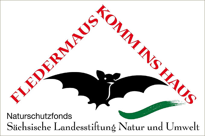 Fledermaus komm ins Haus - Grafik: Sächsische Landesstiftung Natur und Umwelt (LaNU)