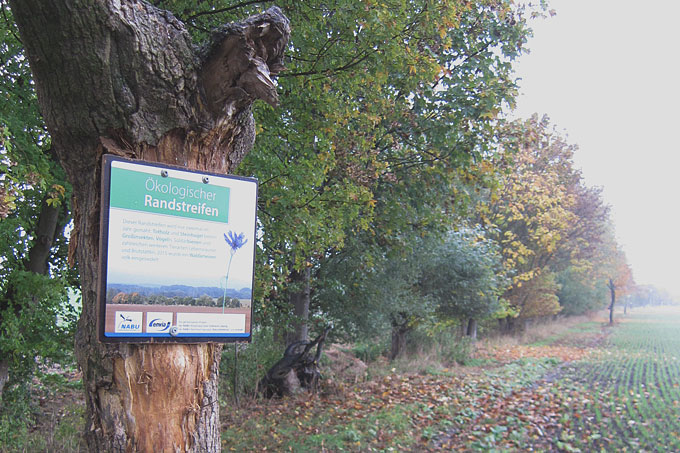 An einem Totholzstamm im Katzengrund wurde das Schild „Ökologischer Randstreifen“ angebracht - Foto: Ingo Thienemann