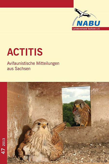 Actitis, Avifaunistische Mitteilungen aus Sachsen Heft 47/2013