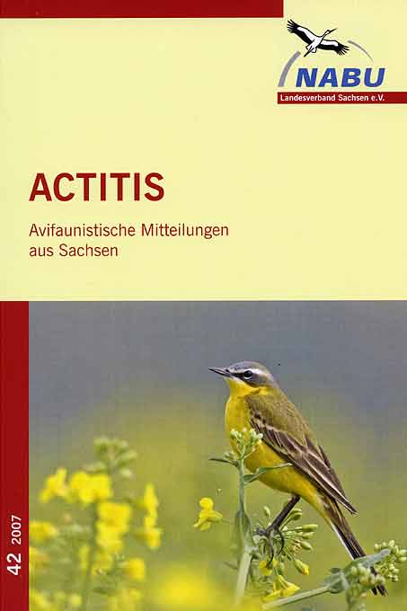 Actitis, Avifaunistische Mitteilungen aus Sachsen Heft 42/2007