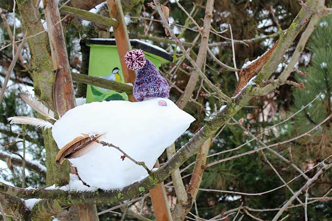 Der NABU Sachsen lädt im Rahmen der Mitmachaktion dazu ein, „Wintervögel“ aus Schnee zu bauen und Fotos davon an landesverband@NABU-Sachsen.de zu senden. Die „Schneevögel“ werden beim NABU Sachsen veröffentlicht. Unter den Einsendern verlost der NABU Sachsen drei Naturbücher „Vögel füttern im Winter“. - Foto: Philipp Ebert