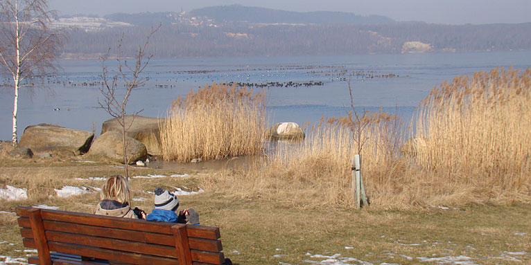 Blick auf den Berzdorfer See - Foto: NABU LV Sachsen e. V.