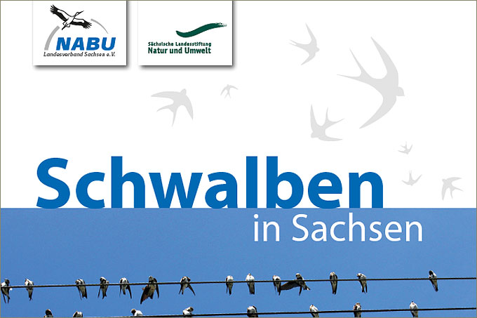 Mappe „Schwalben in Sachsen“