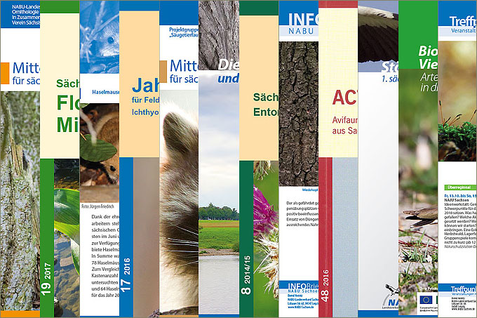 Collage Publikationen des NABU Sachsen - Grafik: Andrea Just