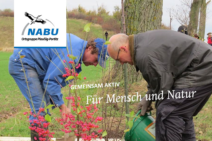 Pflanzaktion 11. November 2017 - Grafik: NABU-Ortsgruppe Plaußig-Portitz