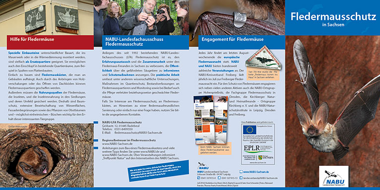 Faltblatt „Fledermausschutz in Sachsen“