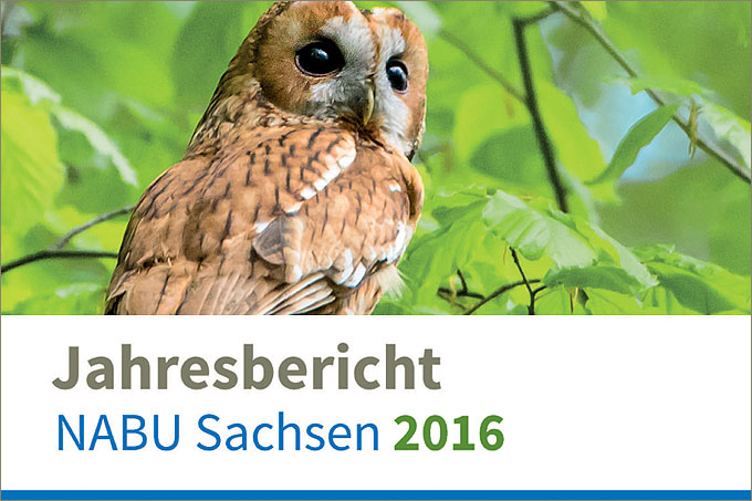 Jahresbericht NABU Sachsen 2016