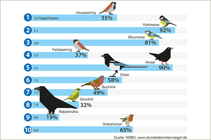 Die häufigsten Wintervögel im Garten 2018 - Grafik: NABU