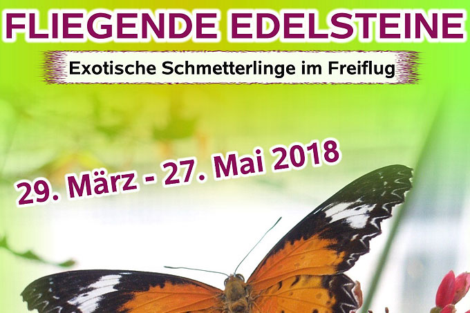 Plakat zur Schmetterlingsschau „Fliegende Edelsteine“ 2018 - Grafik: NABU Erzgebirge