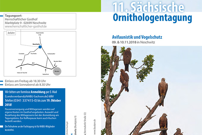 Einladung 11. Sächsische Ornithologentagung