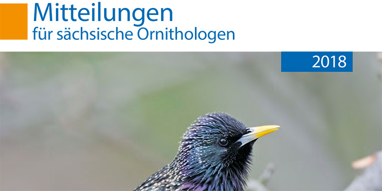 Mitteilungen für sächsische Ornithologen 2018