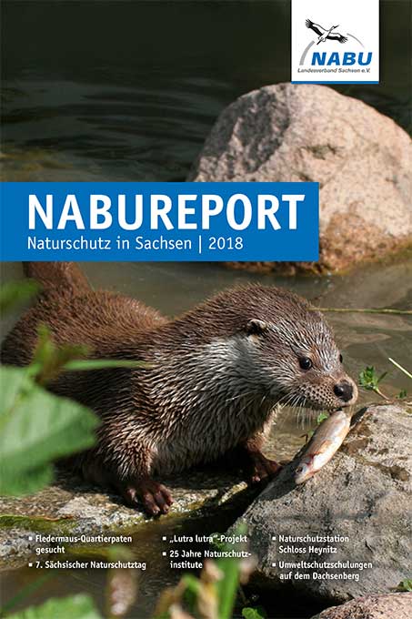 NABU Report 2018