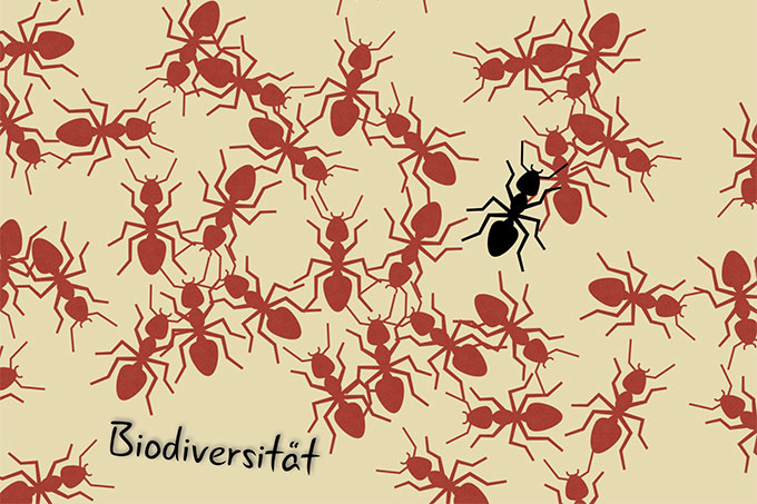 Biodiversitätstag in Mittweida am 22. Oktober 2019
