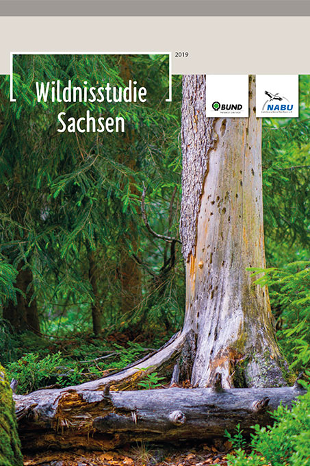 Wildnisstudie Sachsen 2019
