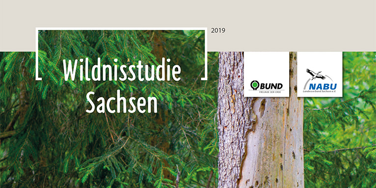 Wildnisstudie Sachsen 2019