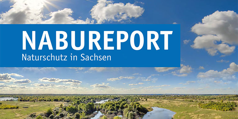 NABU Report NABU Sachsen