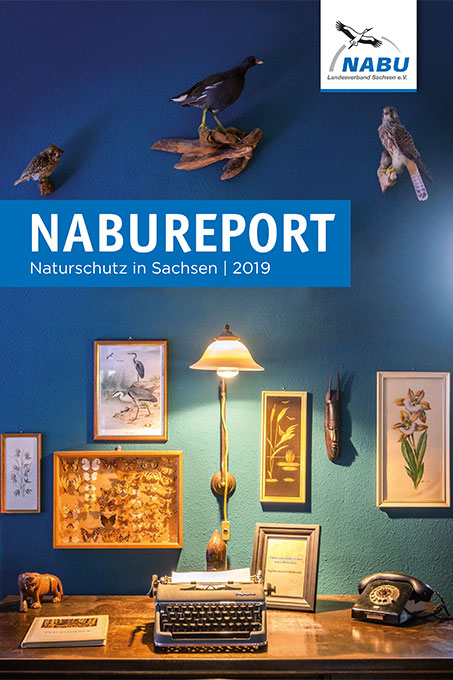 NABU REPORT 2019