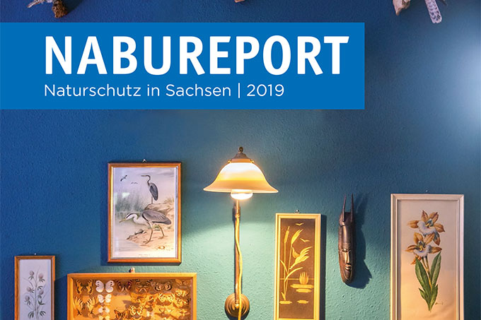 NABU REPORT 2019