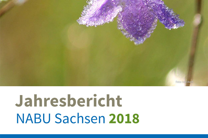 Jahresbericht NABU Sachsen 2018