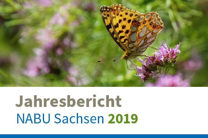 Jahresbericht NABU Sachsen 2019