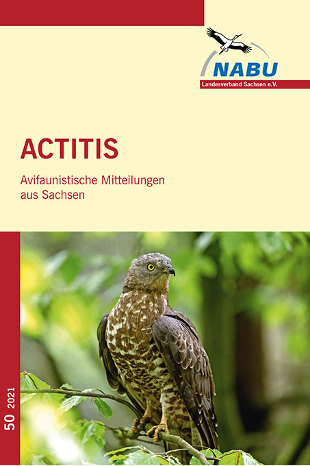 Actitis, Avifaunistische Mitteilungen aus Sachsen - Heft 50/2021
