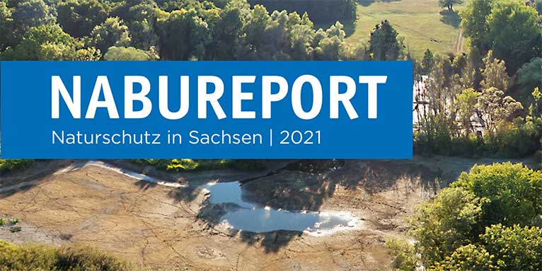 NABU Report 2021