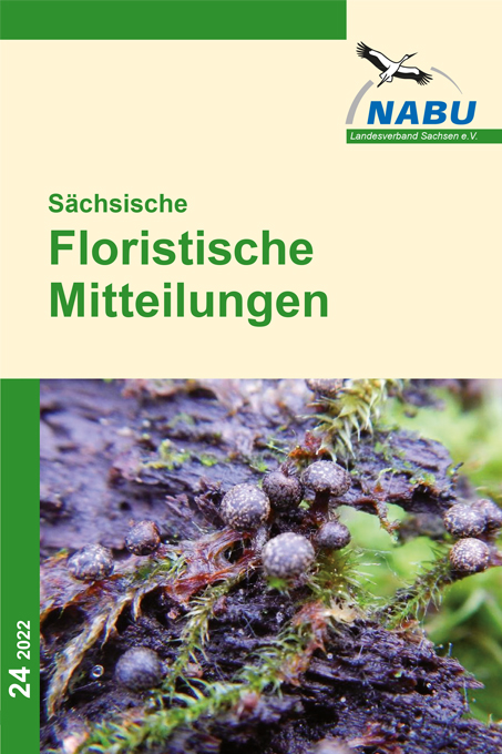 Sächsische Floristische Mitteilungen Heft 24 / 2022