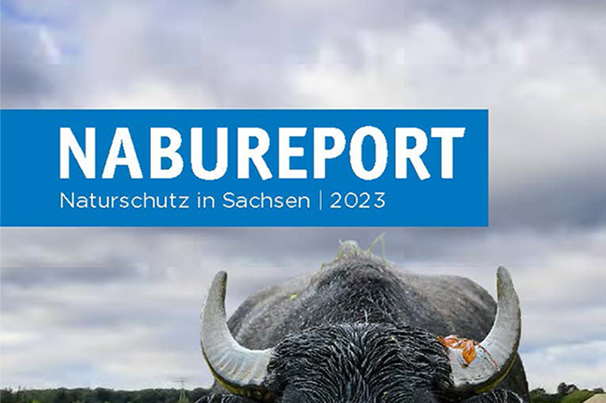 NABU Report 2023