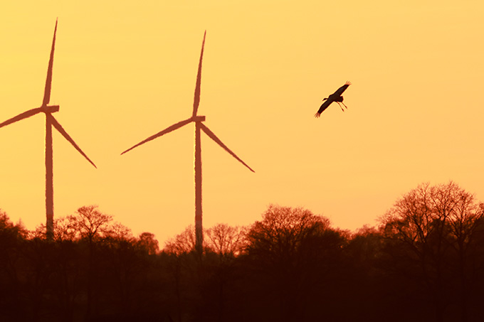 Windräder - Foto: Jan Piecha