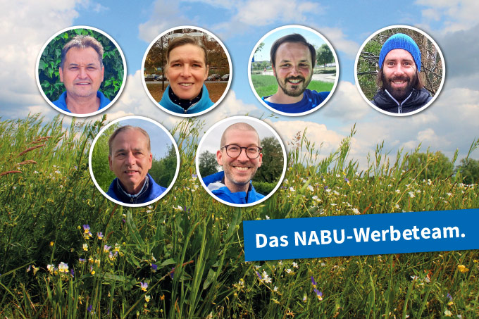 NABU-Werbeteams suchen Unterstützerinnen und Unterstützer für lokale Natur- und Artenschutzprojekte des NABU Sachsen