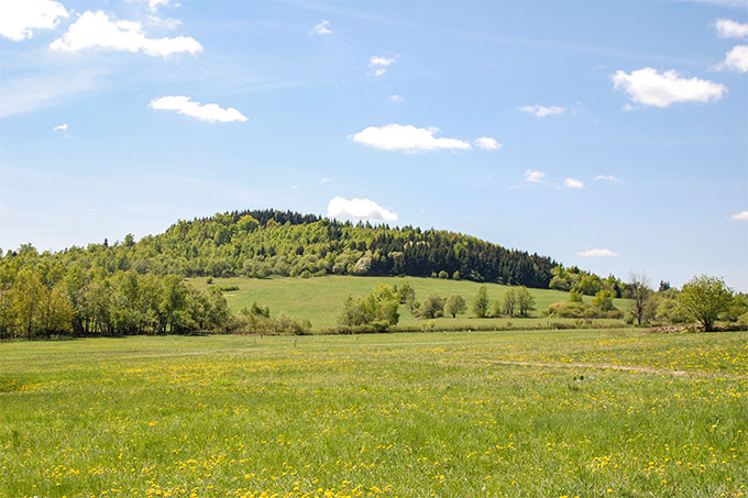 Sattelbergwiese, Ost-Erzgebirge. Foto: Prof. Hans-Jürgen Hardtke