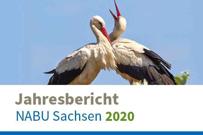 290322-nabu-sachsen-jahresbericht-2020-680x453