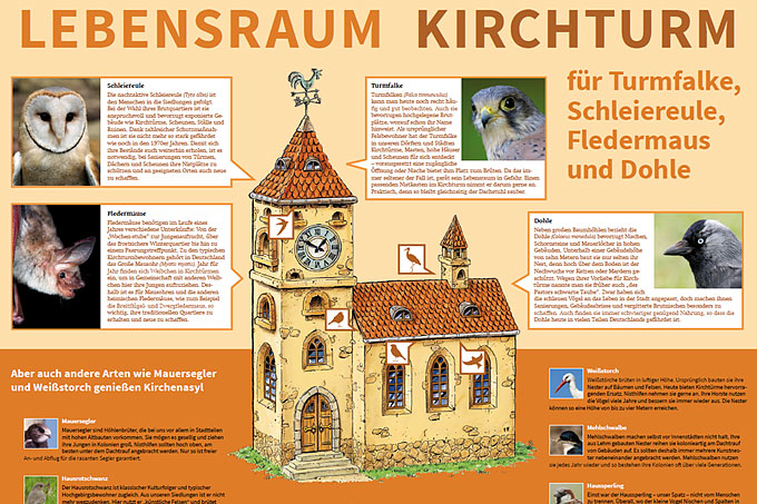 Poster „Lebensraum Kirchturm“