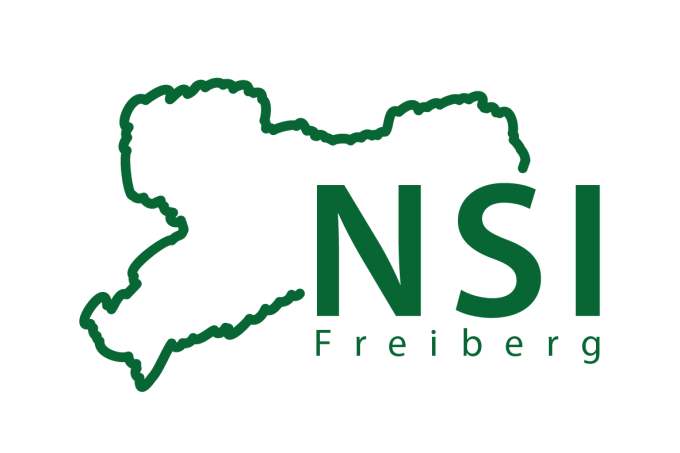 Logo NSI Freiberg