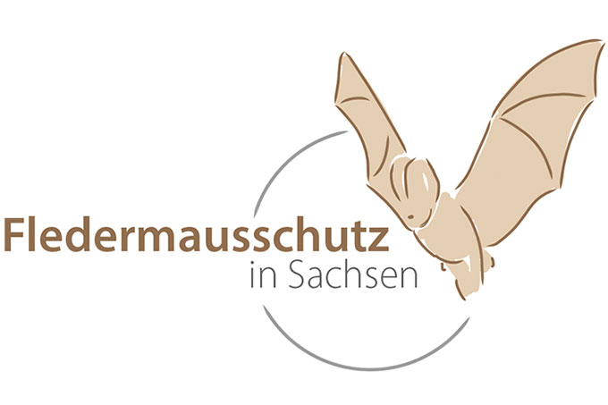 Logo Fledermausschutz in Sachsen