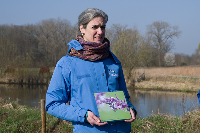 Die NABU-Landesvorsitzende, Dr. Maria Vlaic, enthüllte den außergewöhnlichen Insektenfund und zeigte ein Foto der Zahntrost-Sägehornbiene. – Foto: Katharina Schröder